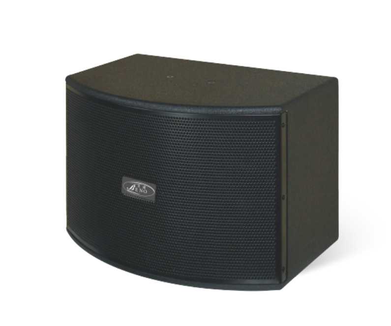 10寸卡包音箱BN-K103