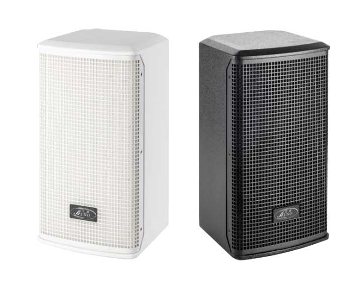 6.5寸专业音响BN-TL900